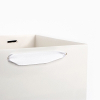 Переноска для цветов с вкладышем для фиксации, &laquo;Самой нежной&raquo;, белый, 35 х 20 х 20 см