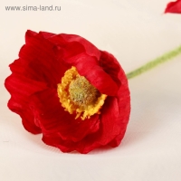 Цветы искусственные "Маки полевые" 5х58 см, красный Цветы искусственные "Маки полевые" 5х58 см, красный