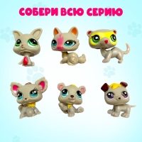 Игрушка-сюрприз Crazy Pets, с наклейками Игрушка-сюрприз Crazy Pets, с наклейками