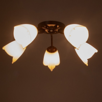 Люстра Оникс 5х15Вт E27 коричневый 52х52х15см BayerLux