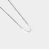 Щипцы кухонные Доляна, 22 см, цвет серебристый