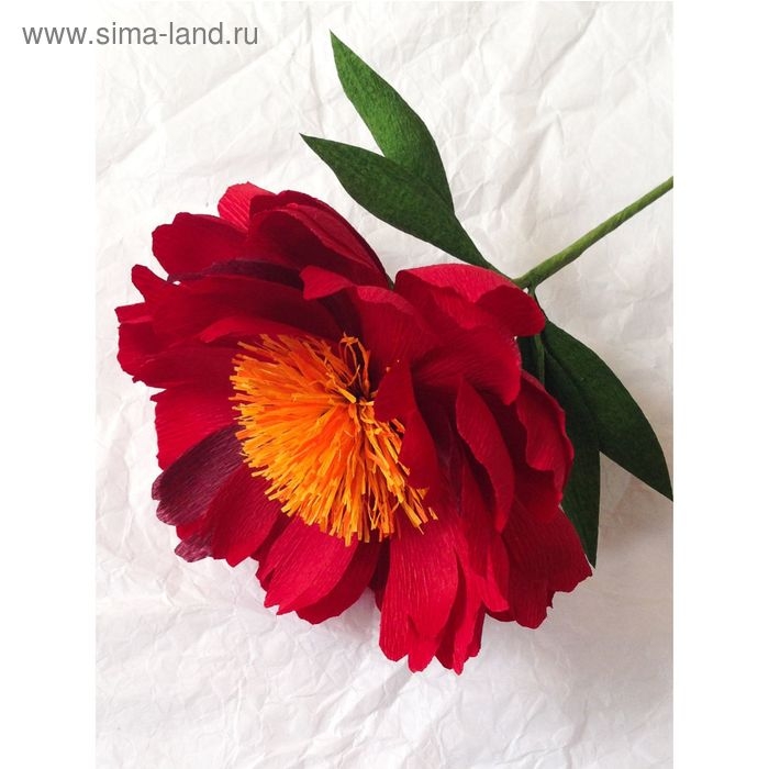 Бумага гофрированная, 586 Бумага гофрированная, 586 "Вишневая", 0,5 х 2,5 м