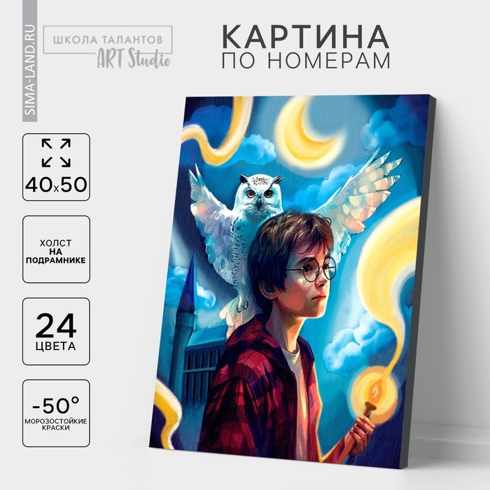 Картина по номерам на холсте с подрамником &laquo;Волшебство рядом&raquo;, 40 х 50 см