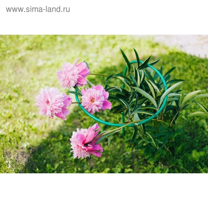 Кустодержатель для цветов, d = 40 см, h = 80 см, ножка d = 1 см, металл, зелёный Кустодержатель для цветов, d = 40 см, h = 80 см, ножка d = 1 см, металл, зелёный