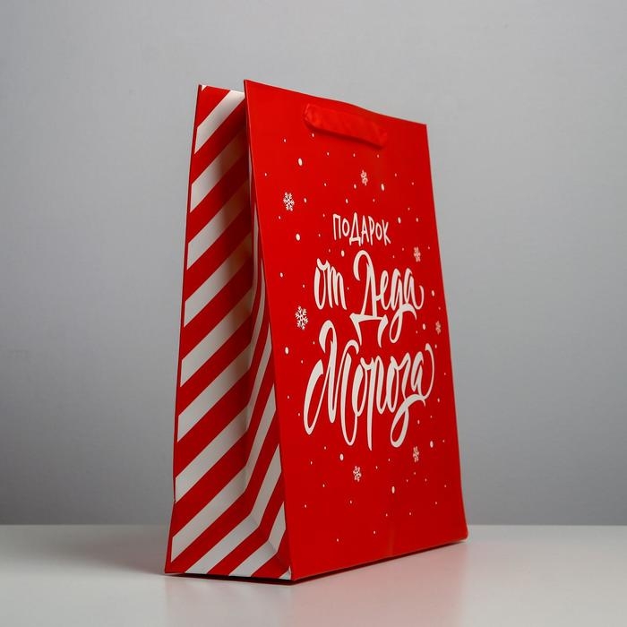 Пакет подарочный новогодний ламинированный &laquo;Подарок от Деда Мороза&raquo;, M 26 х 30 х 9 см