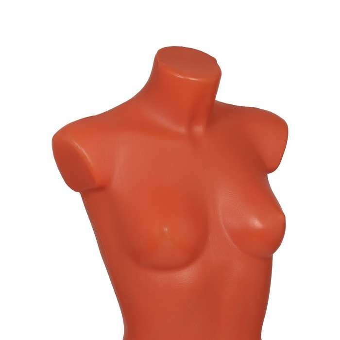 Торс женский удлиненный, 85&times;60&times;88 см, цвет телесный