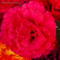 Букет "Гвоздики" 5х25 см, микс