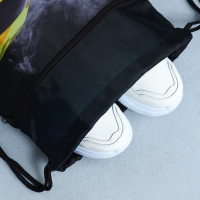 Мешок для обуви &laquo;Крутая тачка&raquo; 2 секции, 30 х 40 см