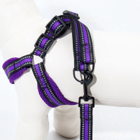 Комплект амуниции мягкий, светоотражающий, поводок 120 х 2 см, ОШ 25-72 см, фиолетовый