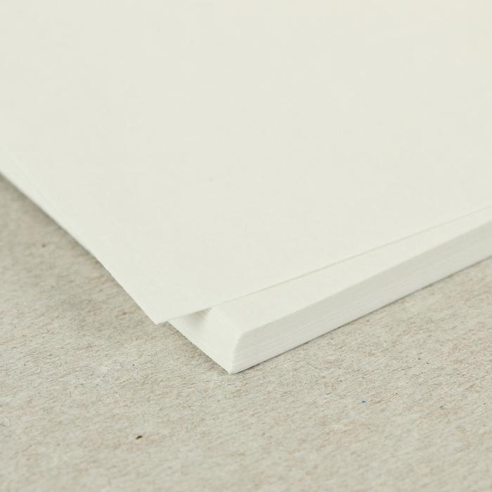 Папка для работ гуашью и акварелью А3, 20 листов "Весенний лес", блок 160 г/м&sup2;