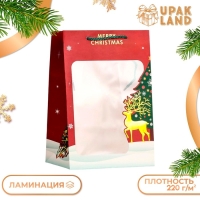 Пакет подарочный новогодний ламинированный, с окном "Новогодний", 20 х 30 х 16 см. Пакет подарочный новогодний ламинированный, с окном "Новогодний", 20 х 30 х 16 см.