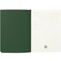 Ежедневник Flat Maxi, недатированный, зеленый