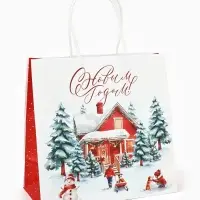 Набор пакетов крафтовых &laquo;Новогодний&raquo;, 10 шт, 22 &times; 22 &times; 11 см