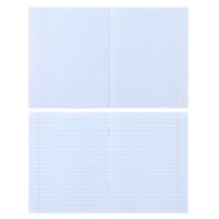 Комплект предметных тетрадей 48 листов &laquo;Металл&raquo;, 10 предметов, со справочным материалом, обложка мелованный картон, блок №2, белизна 75% (серые листы)