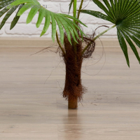 Дерево искусственное "Пальма" 70 см Дерево искусственное "Пальма" 70 см