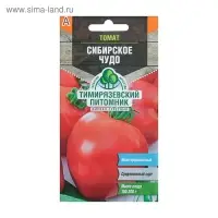 Семена Томат "Сибирское чудо", среднеспелый, 0,1 г
