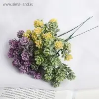 Букет искусственный &laquo;Круглолист&raquo; с напылением, 17 см, МИКС