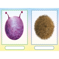 Сделай своего чудика &laquo;Мистер Друкс&raquo;, книга с наклейками