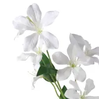 Цветы искусственные "Баухиния пёстрая" d-13 см 71 см, белый
