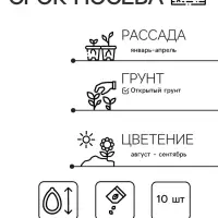 Семена цветов Петуния грандифлора "Нана" Желтая F1, О, драже 10 шт