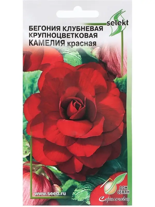 Семена цветов Бегония крупноцвет "Камелия",  красная,     10 шт