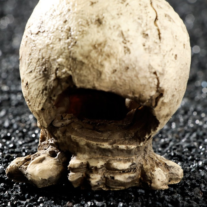 Декор для аквариума Декор для аквариума "Череп", 10 х 8 х 9 см