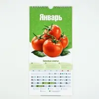 Календарь 2026 на ригеле &laquo;Садово-огородный&raquo; 16.5&times;34 см