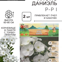 Флокс &laquo;Даниэль&raquo; корневище в пакете с торфогрунтом, р-р I, 2 шт.