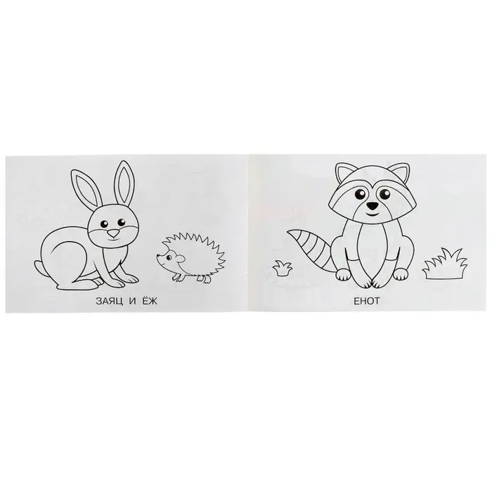 Раскраска &laquo;Лесные животные&raquo;, 8 страниц