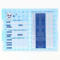 Папка для медицинского полиса &laquo;Наш котёнок&raquo;, 17,5 х 11,3 см.