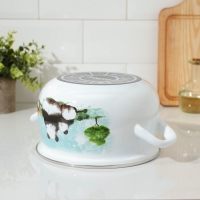 Кастрюля эмалированная &laquo;Панды&raquo;, 3,1 л, стеклянная крышка, индукция