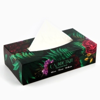 Салфетки бумажные в коробке &laquo;Ботаника&raquo;, 100 шт, двухслойные