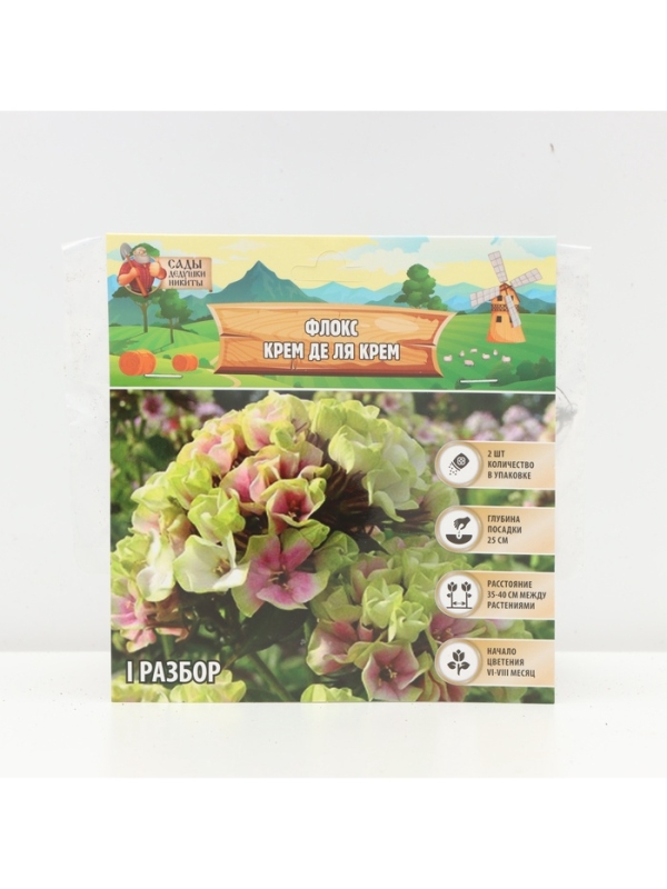 Флокс &laquo;Крем де ля Крем&raquo; корневище в пакете с торфогрунтом, р-р I, 2 шт.