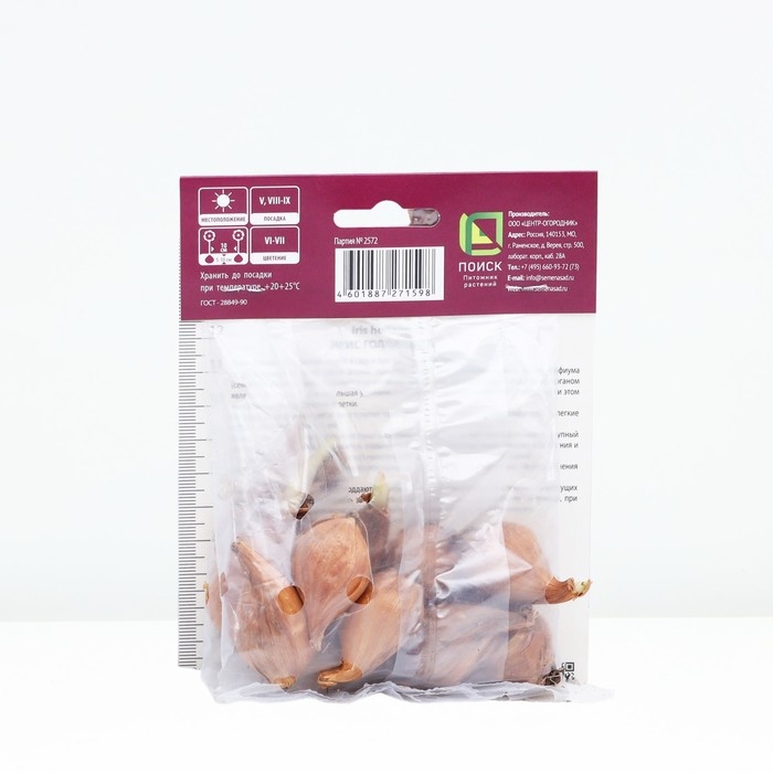 Ирис голландский Сапфир Бьюти, р-р 7/8, 10 шт, Весна 2025