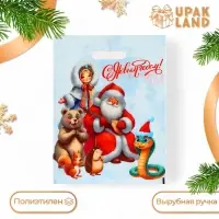 Пакет &laquo;Дед мороз со зверушками&raquo;, полиэтиленовый с вырубной ручкой, 30&times;40 см