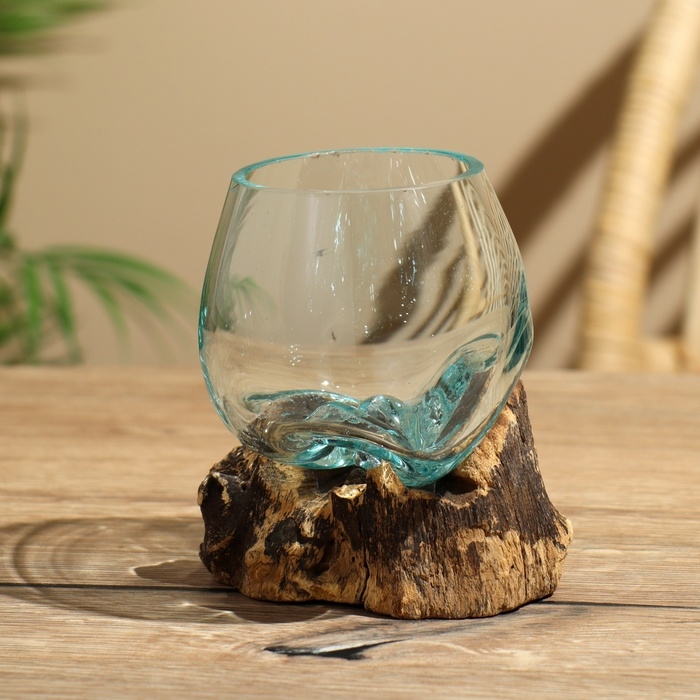 Вазон на коряге "Очарование" 12х10х10 см