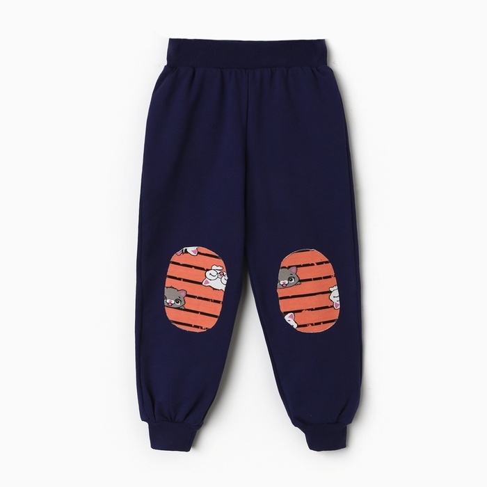 Комплект для девочки (свитшот, брюки), цвет коралловый, рост 98 см Комплект для девочки (свитшот, брюки), цвет коралловый, рост 98 см