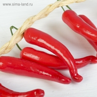 Муляж "Перцы красные" связка 12 шт, 45 см Муляж "Перцы красные" связка 12 шт, 45 см