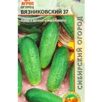 Семена Огурец "Вязниковский 37"10 шт