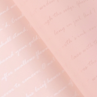 Пленка для цветов &laquo;Послание&raquo;, пудра, 57 см &times; 10