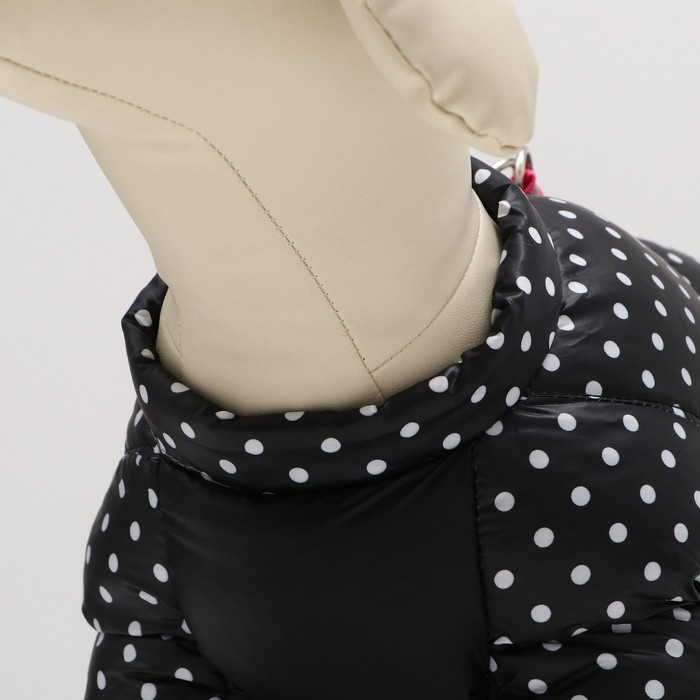 Комбинезон для собак "Горошек", размер 18 (ДС 31, ОГ 46, ОШ 38 см), чёрный