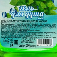 Гель для душа Family мята, 500 мл Гель для душа Family мята, 500 мл