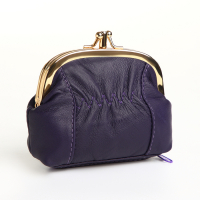 Кошелёк-косметичка, 2 отдела на рамке, цвет фиолетовый МИКС Кошелёк-косметичка, 2 отдела на рамке, цвет фиолетовый МИКС