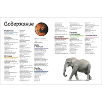 «Большой подарок школьнику» «Большой подарок школьнику»