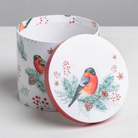 Набор подарочных коробок 5 в 1 &laquo;Европейский&raquo;, 13 х 14‒19.5 х 22 см, Новый год