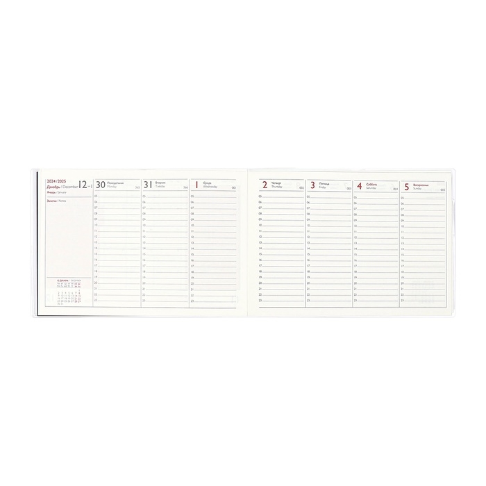 Еженедельник датированный 2025 год, ESCALADA "змея металлик", мягкая обложка ПВХ, 64 листа, блок 70 г/м&sup2;, 180 х 127мм