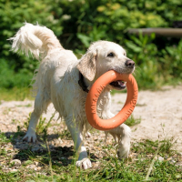 Кольцо "ДогЛайк" D-2611, 8-мигранное, большое, ⌀ 30,5 см Кольцо "ДогЛайк" D-2611, 8-мигранное, большое, ⌀ 30,5 см