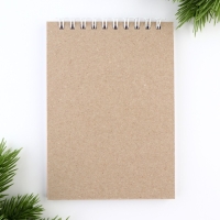 Новый год. Скетчбук А6, 40 л &laquo;Дед Мороз&raquo;