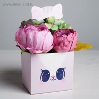 Коробка для цветов с топпером «Котик», 11 х 12 х 10 см Коробка для цветов с топпером «Котик», 11 х 12 х 10 см