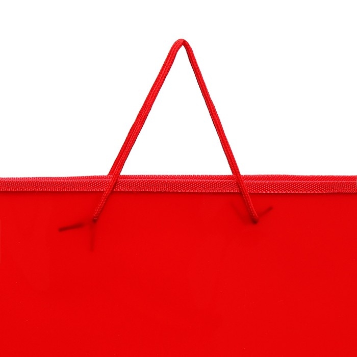 Папка для чертежей и рисунков А3, 470 х 335 х 55 мм, с ручками, пластиковая, молния сверху, Папка для чертежей и рисунков А3, 470 х 335 х 55 мм, с ручками, пластиковая, молния сверху, "Офис"